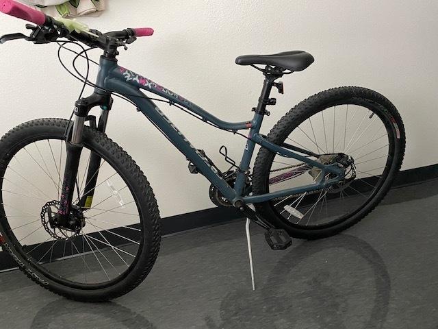 2017 Specialized JYNX Blue