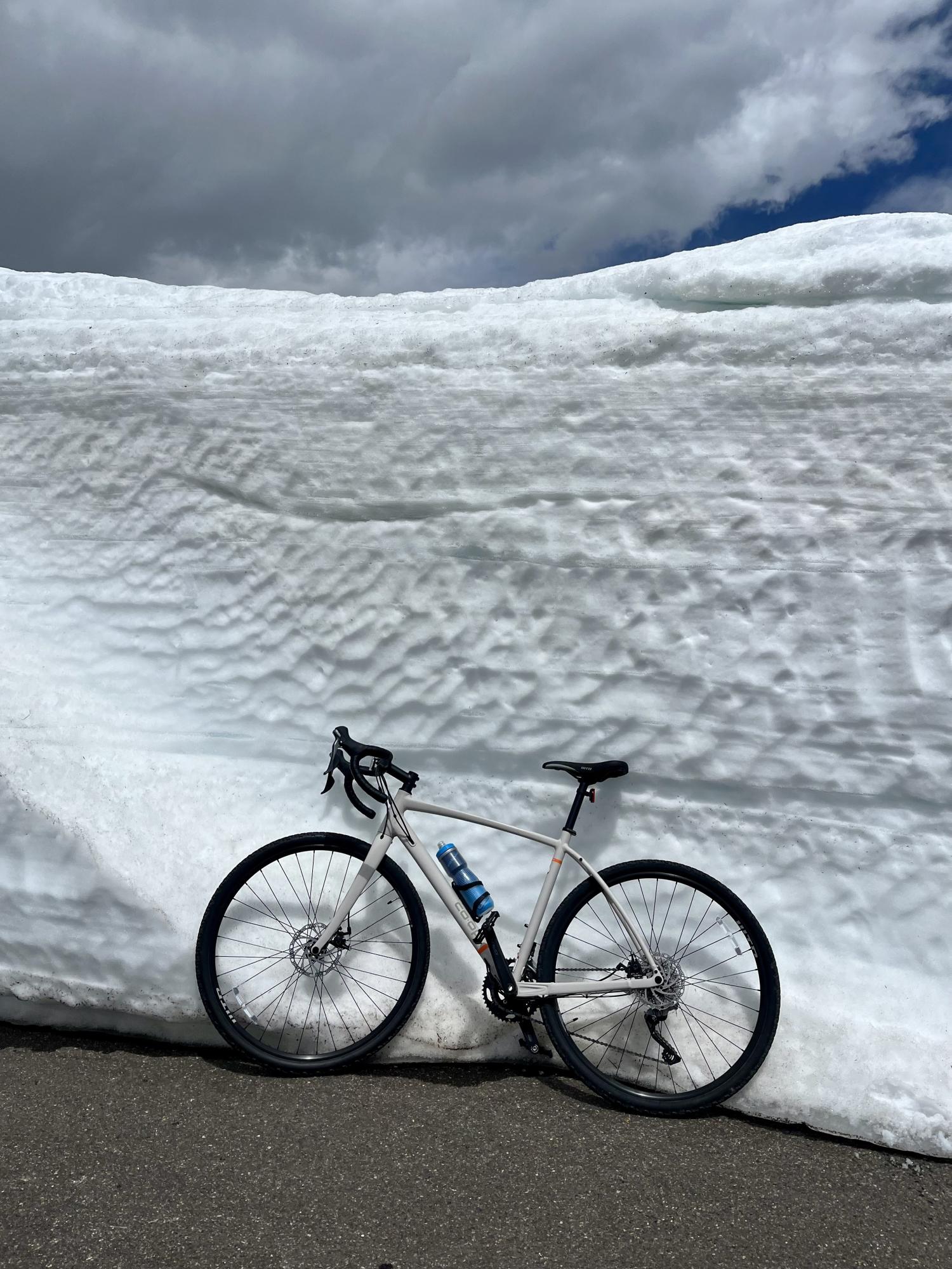 REI Co-op ADV 2.2 White