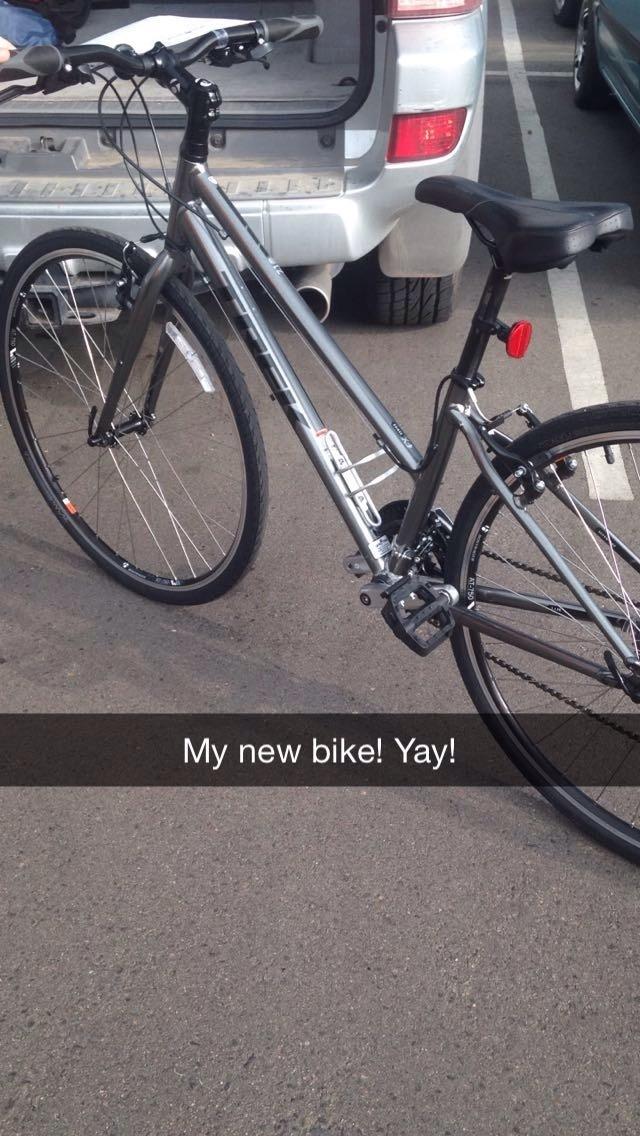 2015 Trek Stagger Silver or Gray