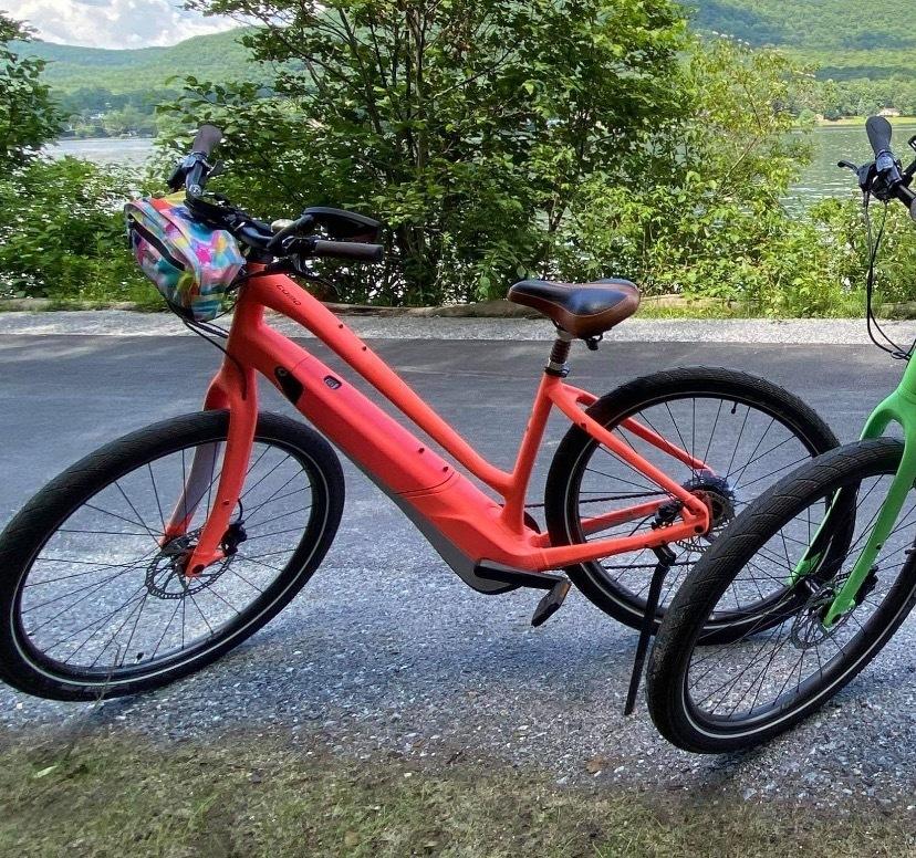 2019 Specialized Turbo Como 2.0 Pink