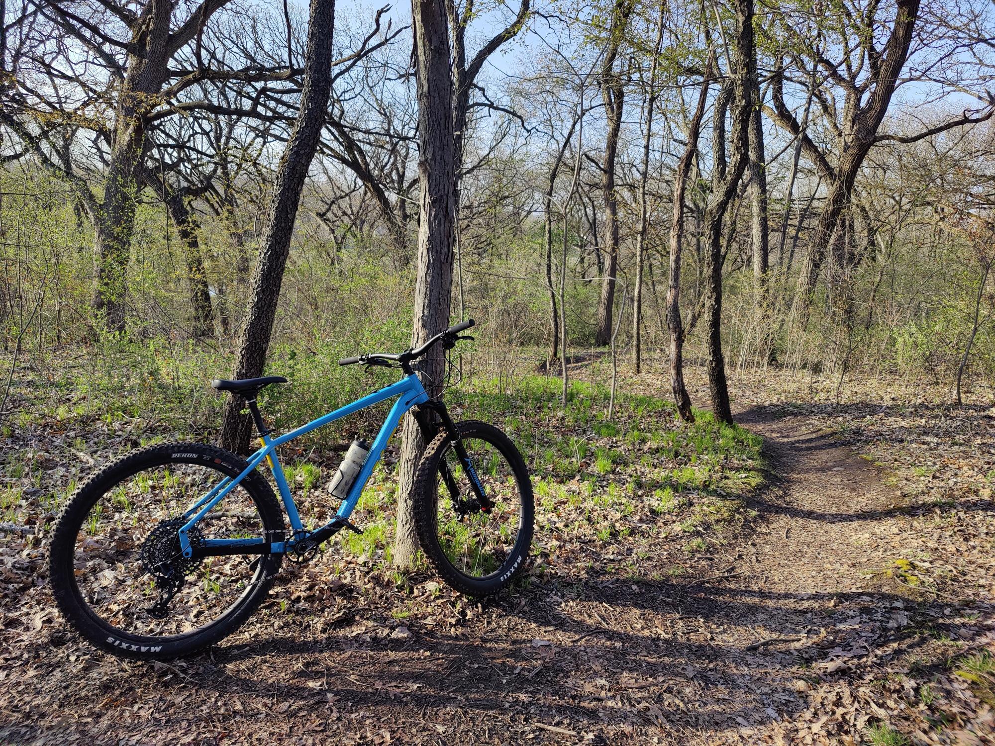 2021 Salsa Timberjack GX Eagle 29 Blue