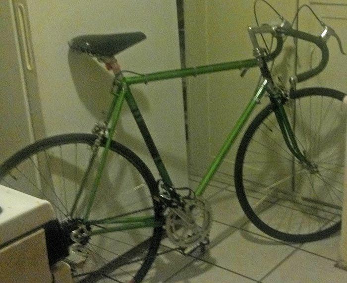 1972 Nishiki Professional  Green