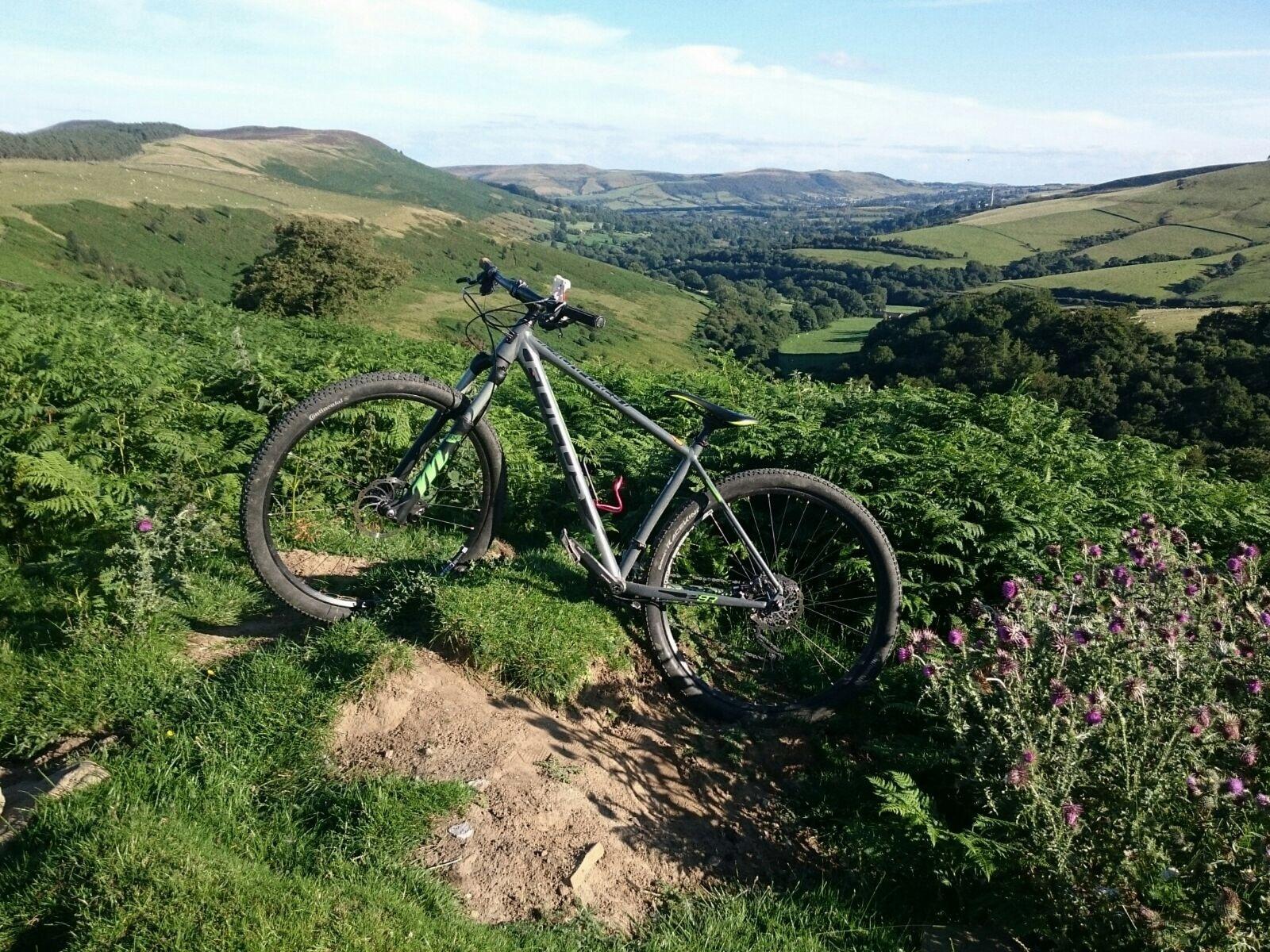 2014 Focus Silver or Gray