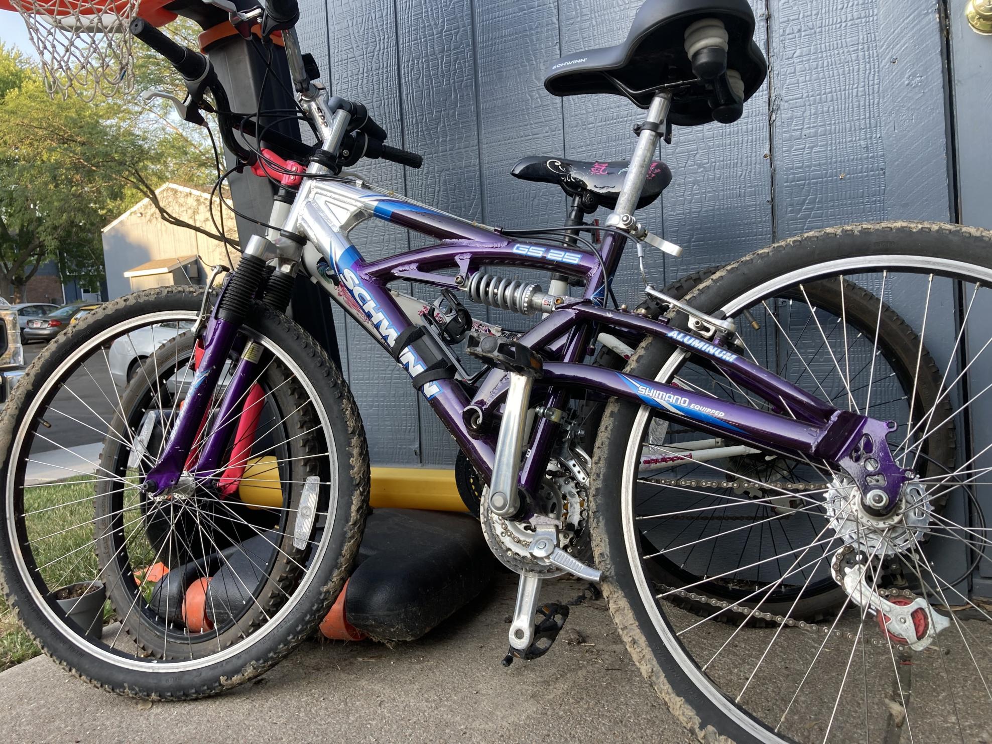 Schwinn Purple and Blue