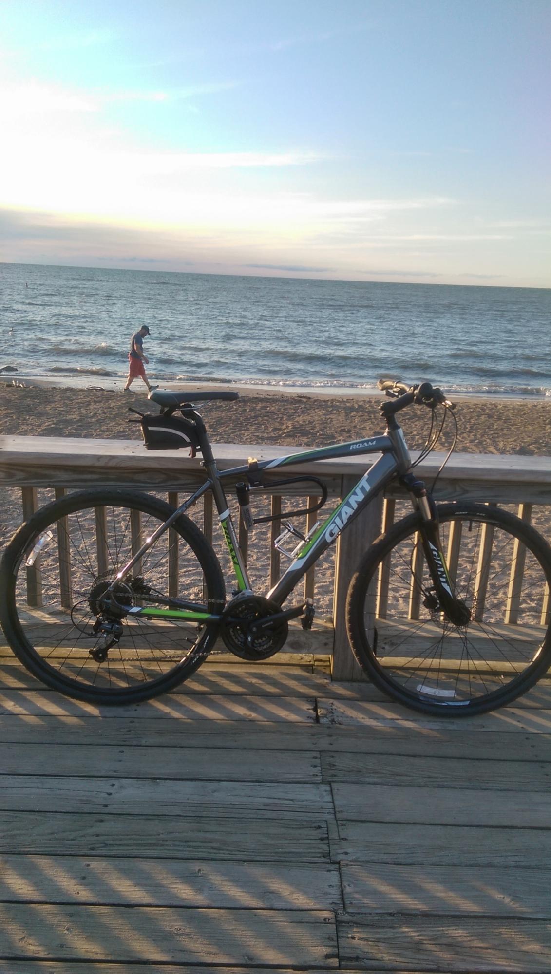 2015 Giant Roam 2 Large Silver or Gray and Green