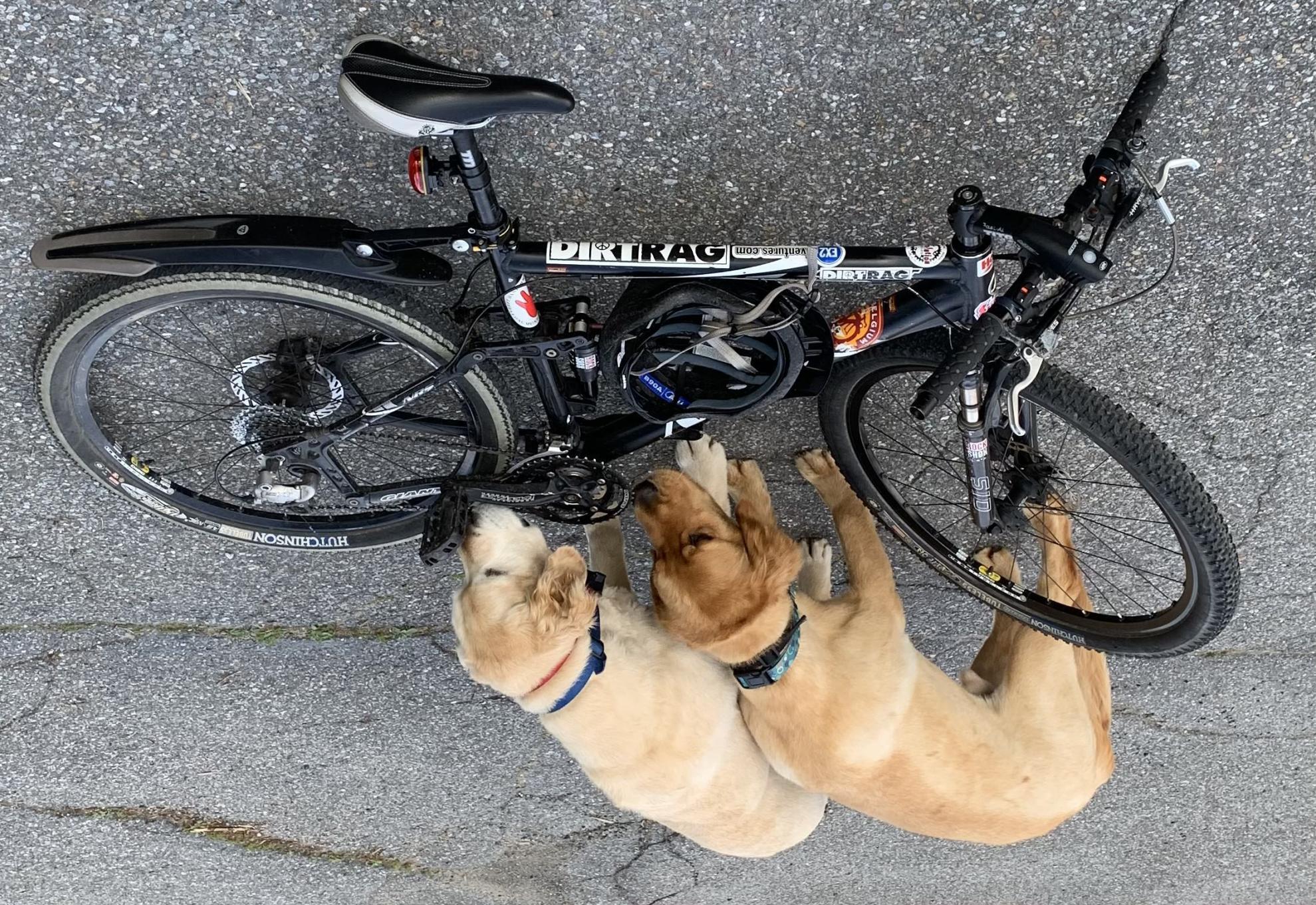 2003 Giant NRS-1 Black and Stickers tape or other cover-up