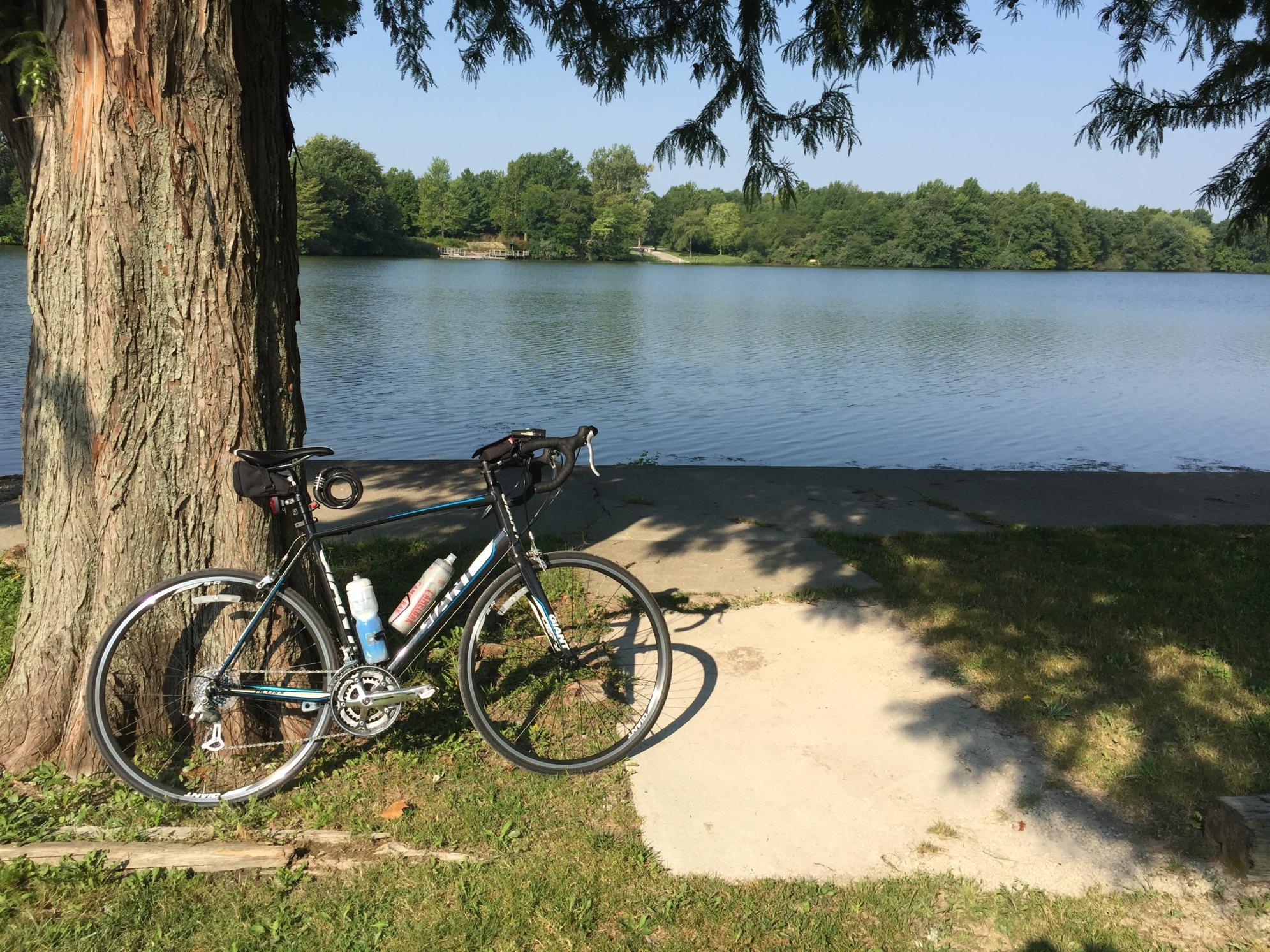 2015 Giant Defy 5 Blue, Black, and White