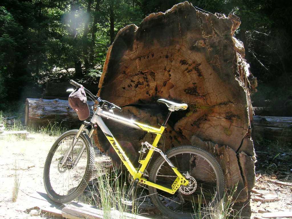 2003 Giant NRS1  Black