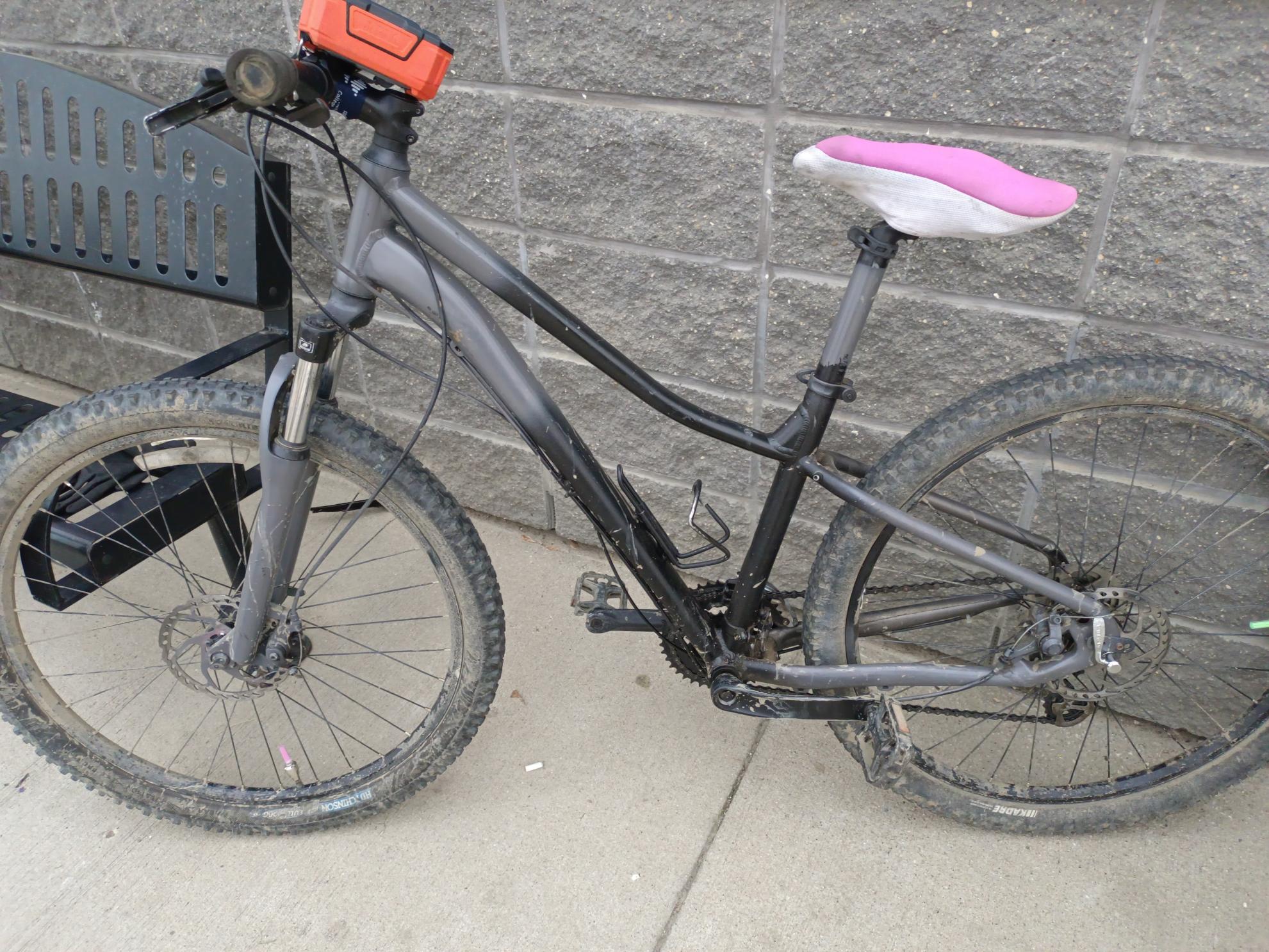 2023 Norco Bikes D02 Black and Silver, gray or bare metal