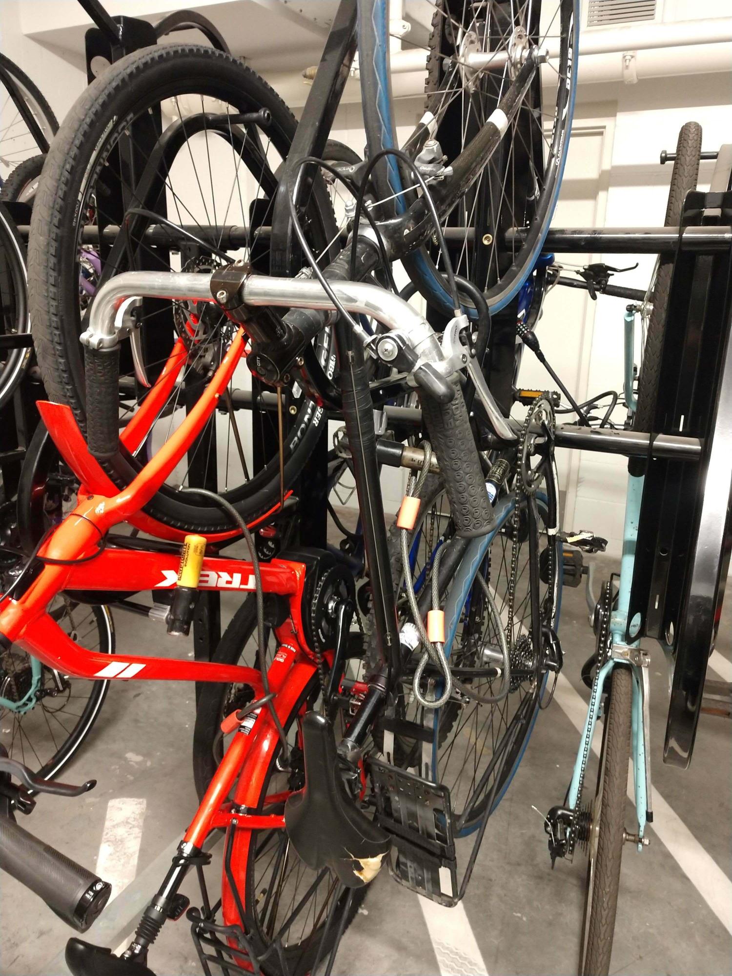 Trek Verve+ Low-Step Orange