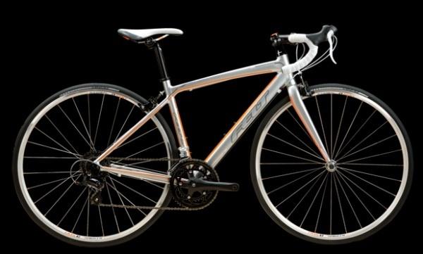 2013 Felt zw100  Black
