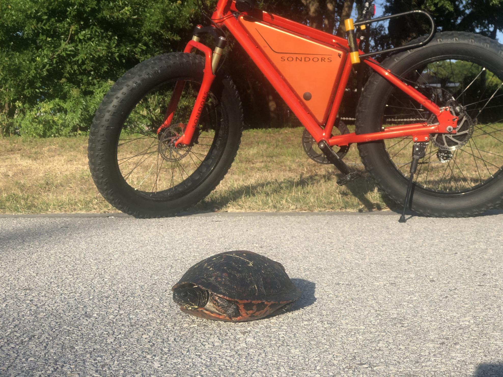 2020 Sondors XS Orange