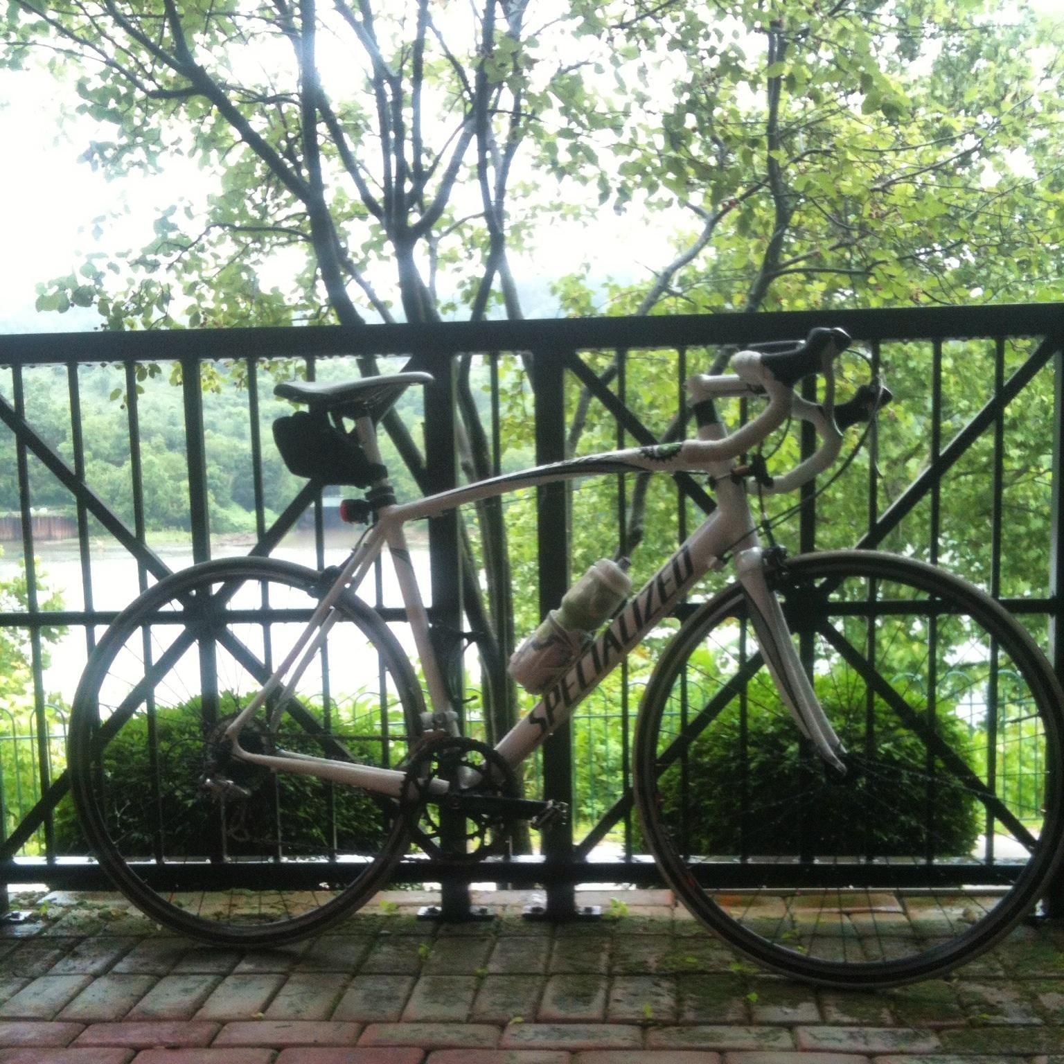 2010 Specialized Allez  White