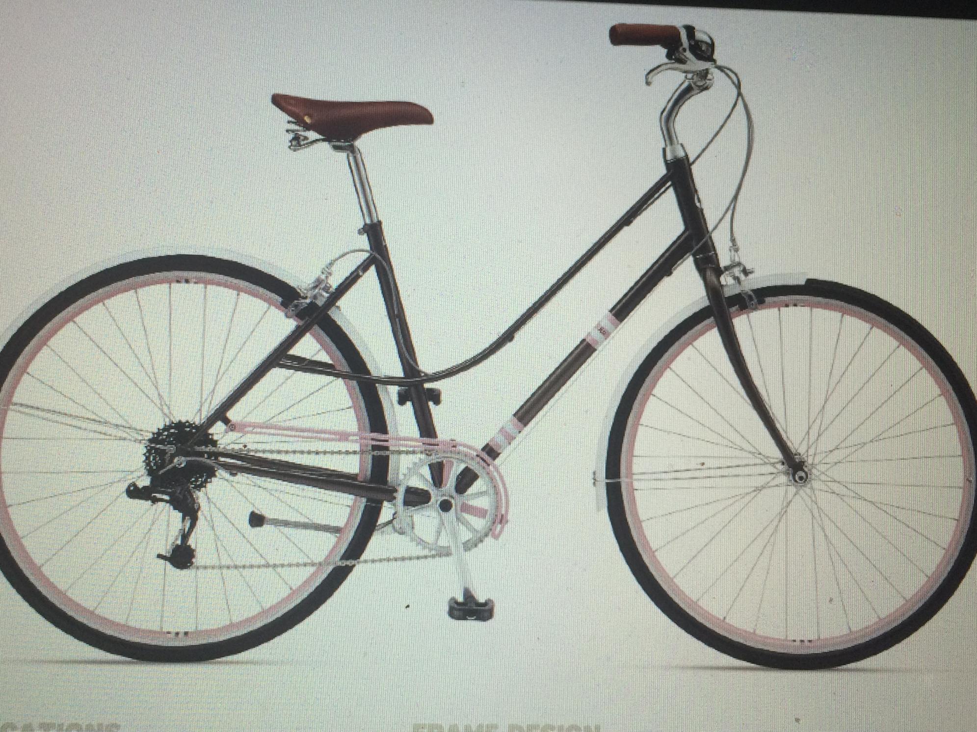 2012 Giant Via 2  Brown and Pink