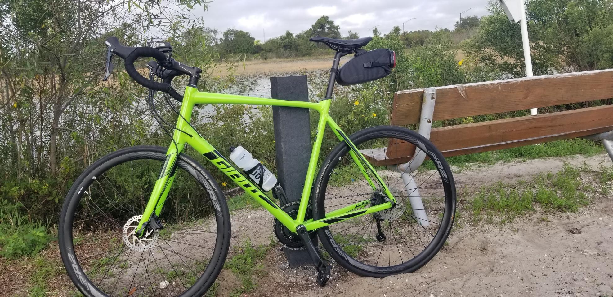 2019 Giant Contend SL 2 Green