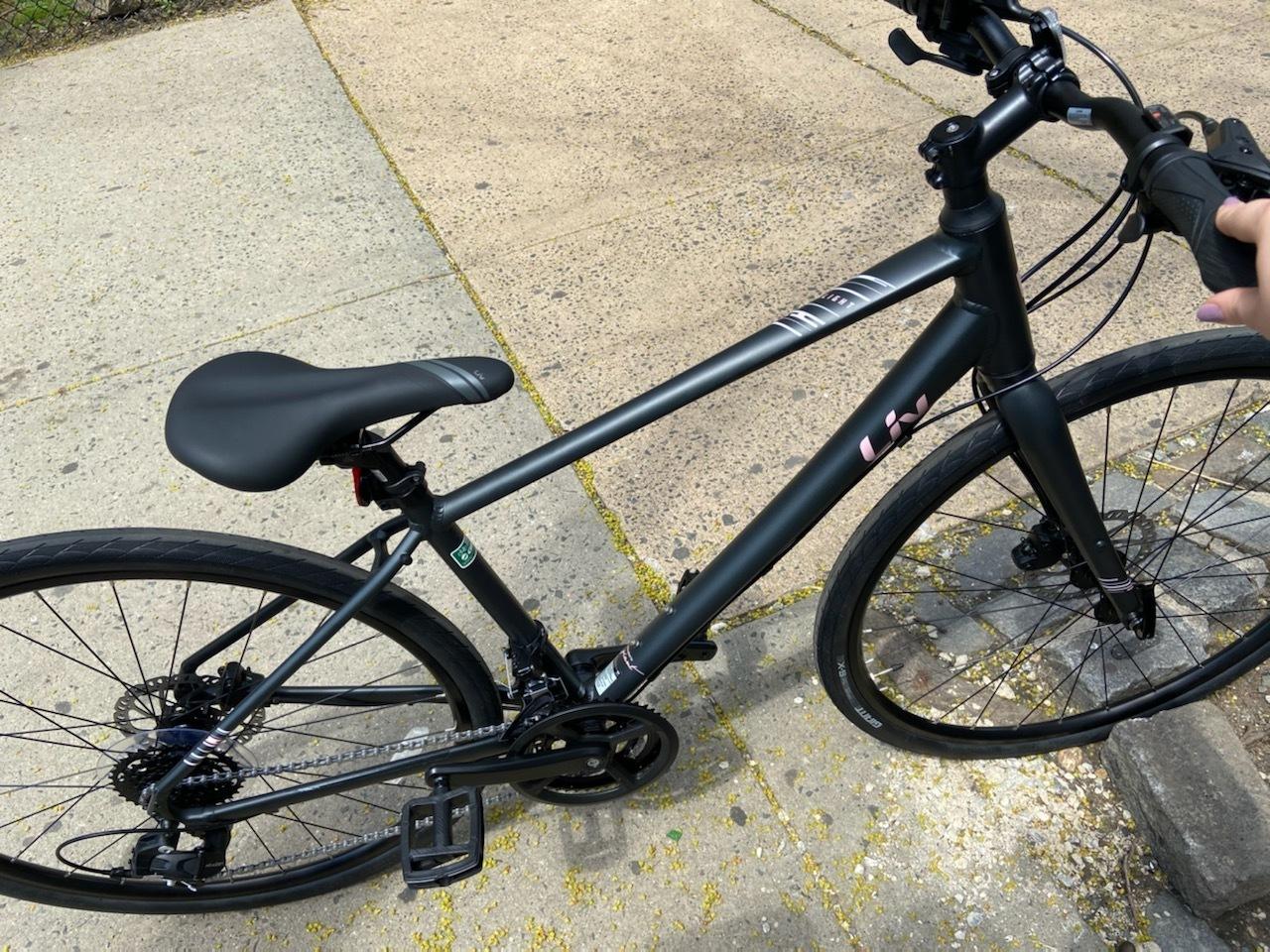 Giant Black and Pink