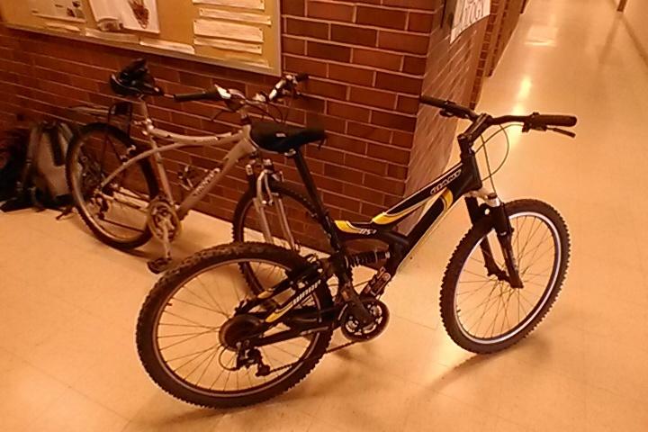 Giant ds3 warp Black and Yellow or Gold