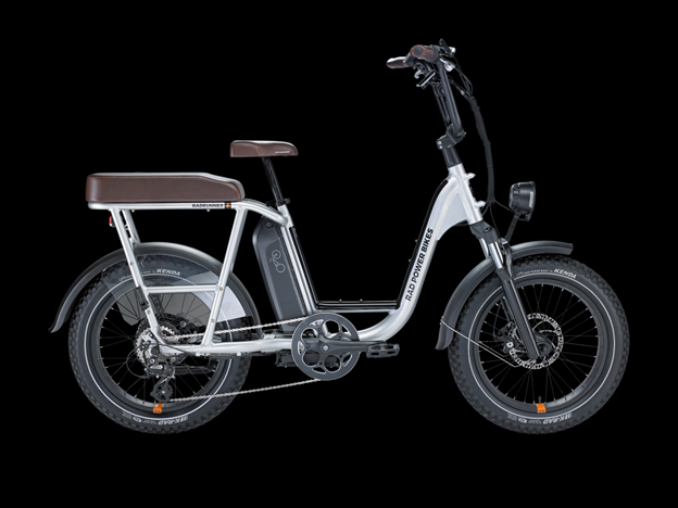 2022 Rad Power Bikes Silver, gray or bare metal