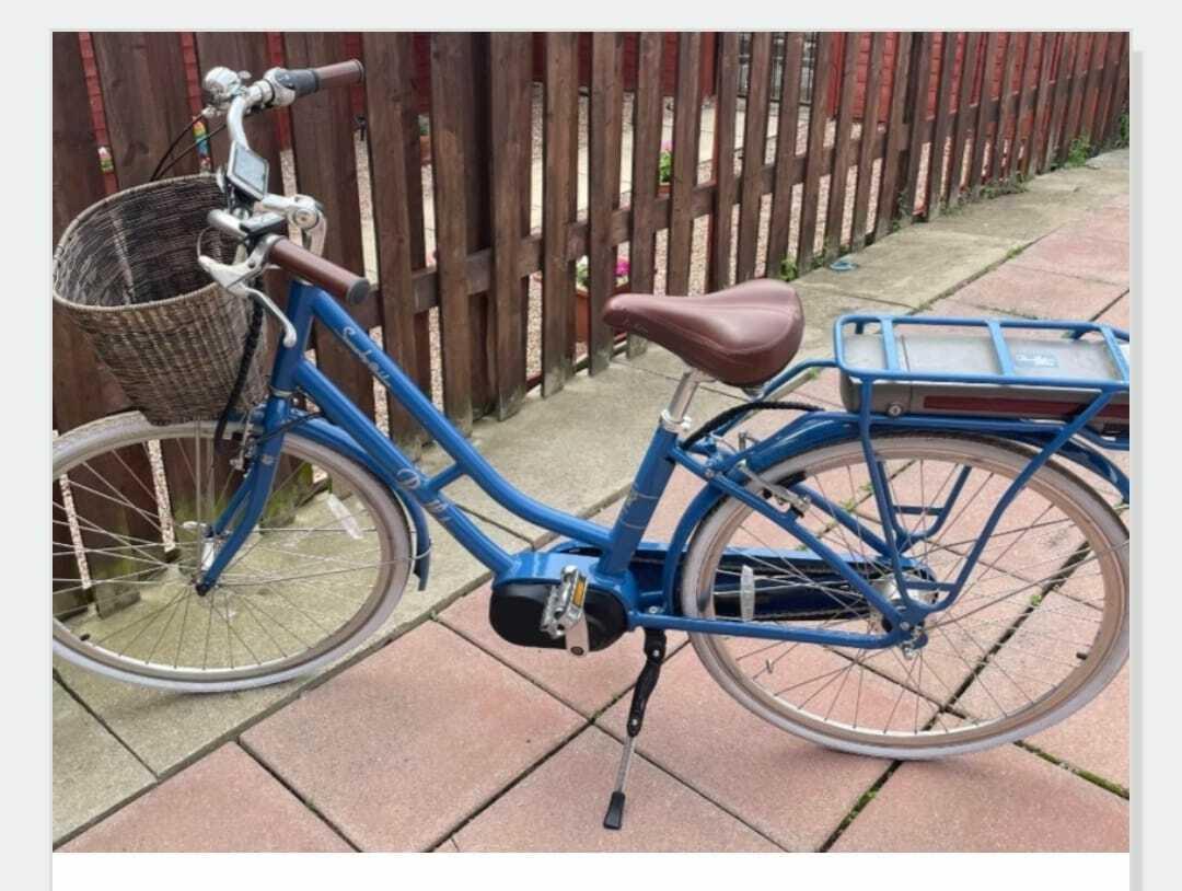 Pendleton 1908A185 Blue