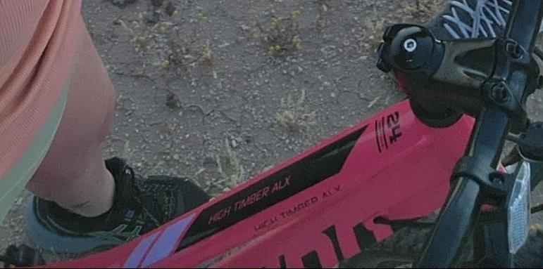 Schwinn High Timber Pink and Black