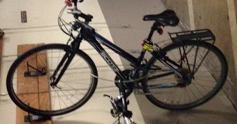 SCOTT  Blue and Black