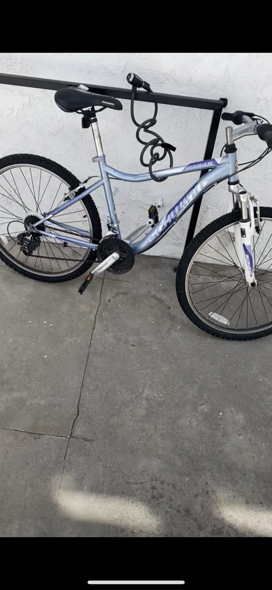 Schwinn Blue and Purple