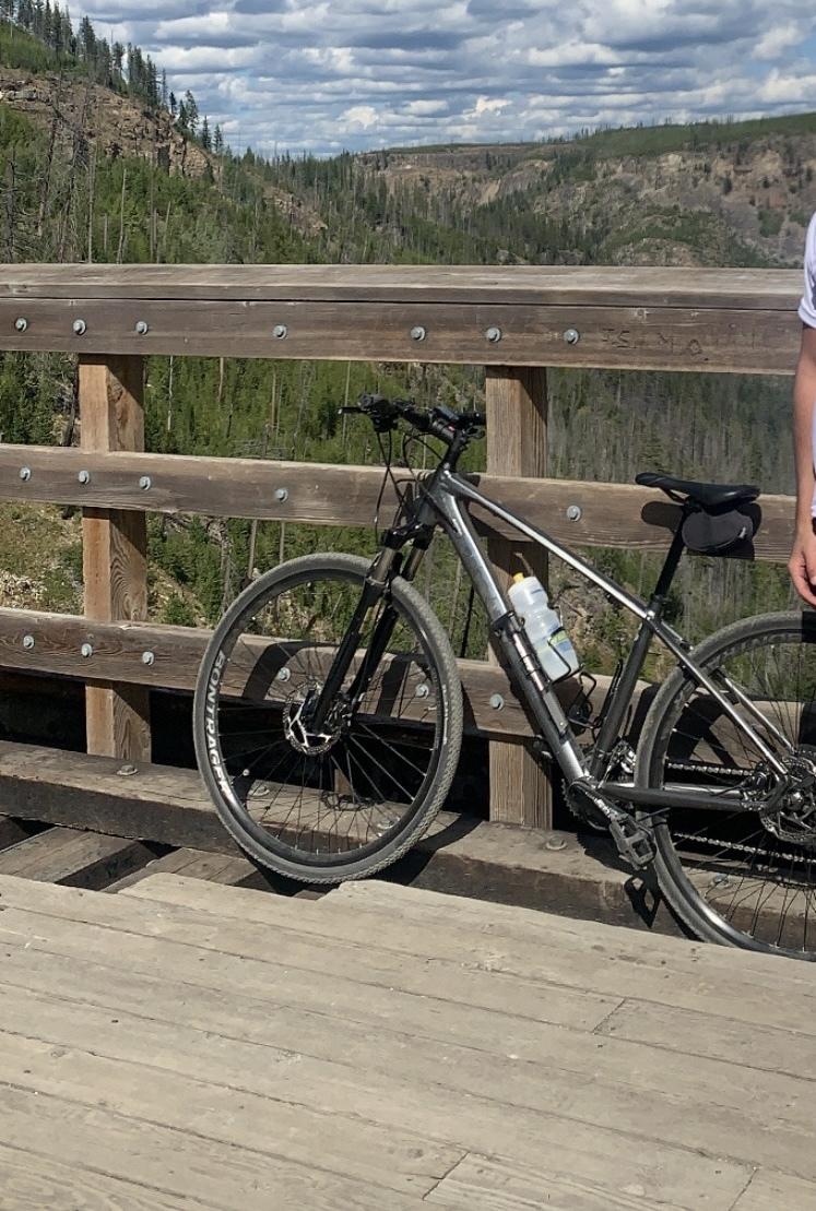 2019 Trek Trek Dual Sport 4 Silver, gray or bare metal
