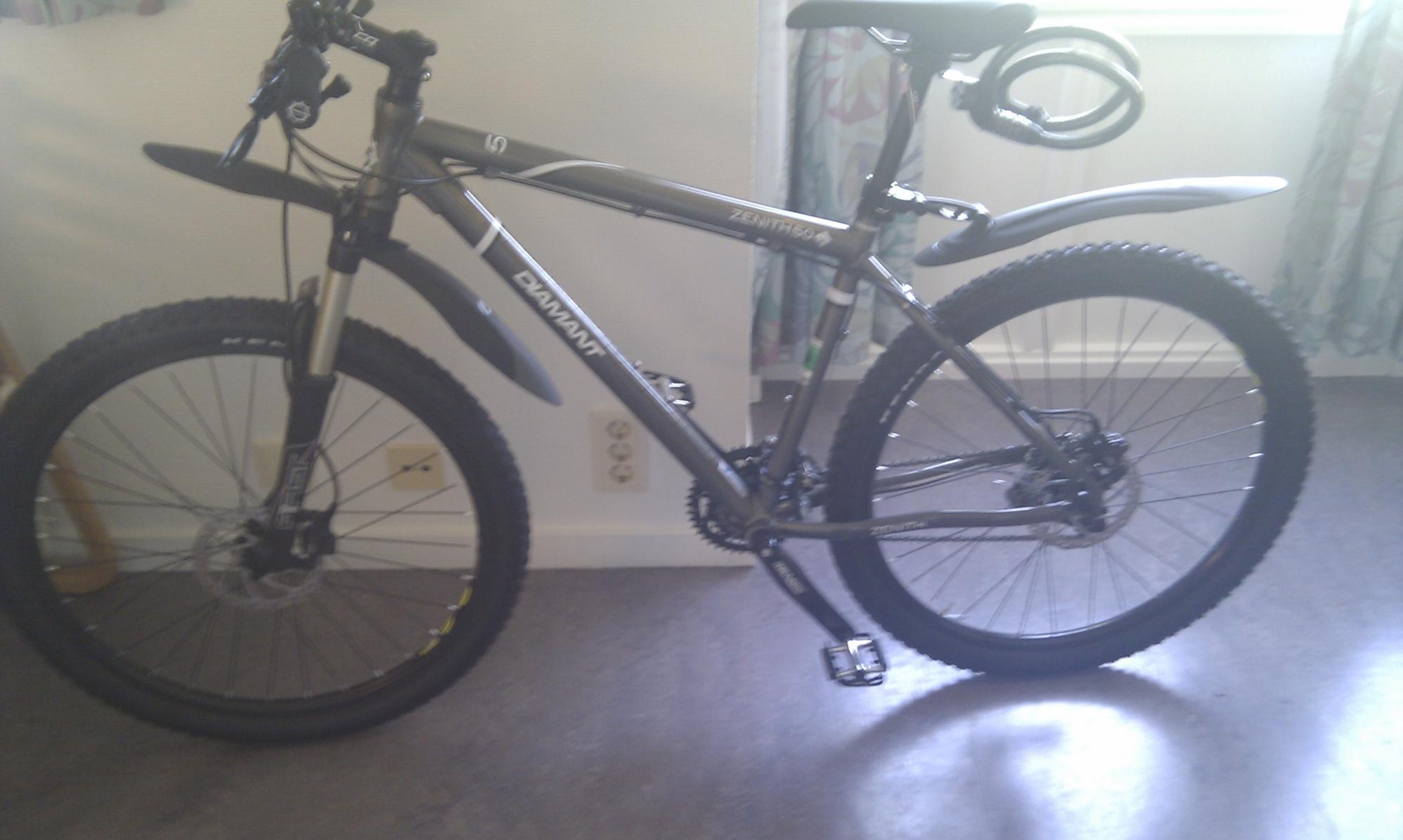 2010 Diamant Zenith 50 bicycle Silver or Gray