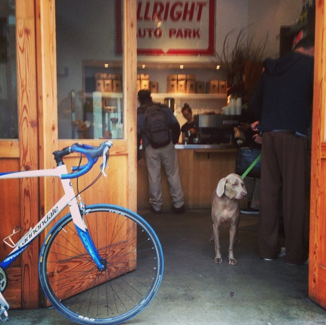 2010 Cannondale Caad8 S 6  Blue and White