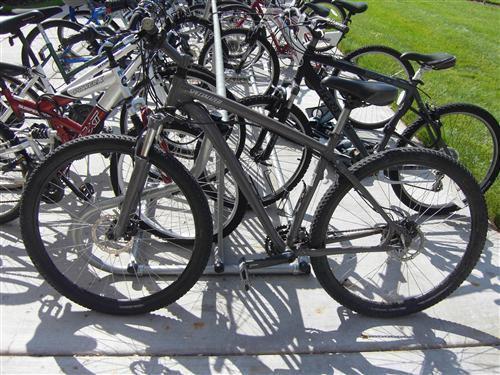 2010 Specialized 29er  Black