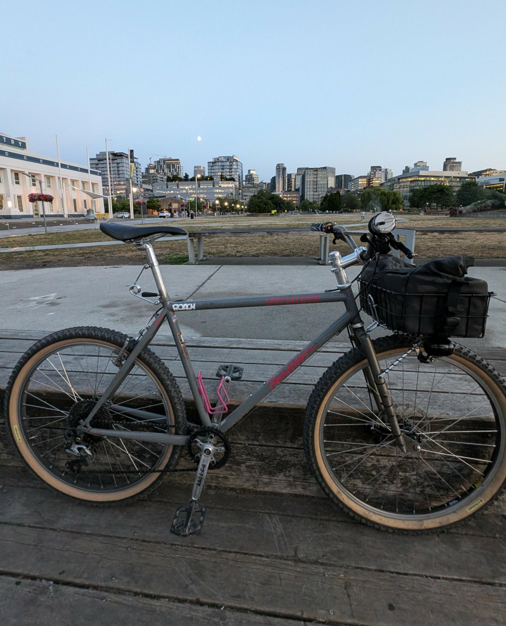 1991 Specialized Rockhopper Silver, gray or bare metal and Pink