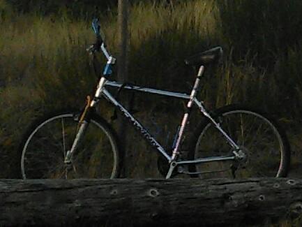 Schwinn Silver or Gray