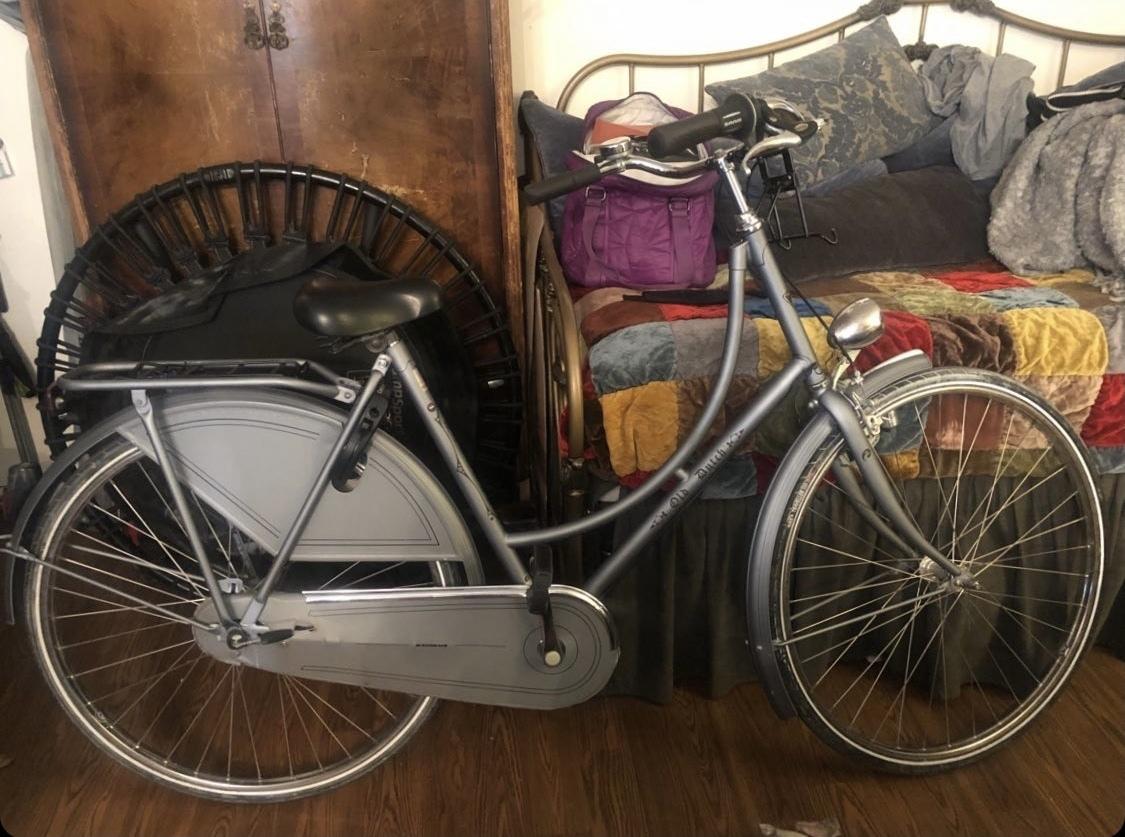 Batavus Old Dutch Silver, gray or bare metal