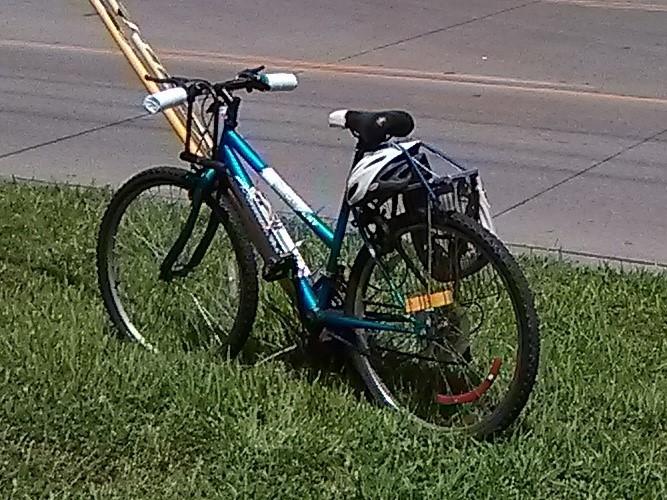 2017 Roadmaster Mt. Fury Teal