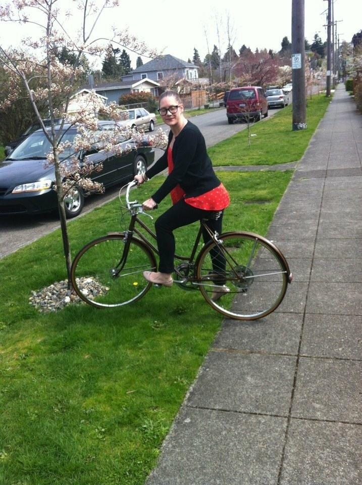 1970 Schwinn Suburban Brown