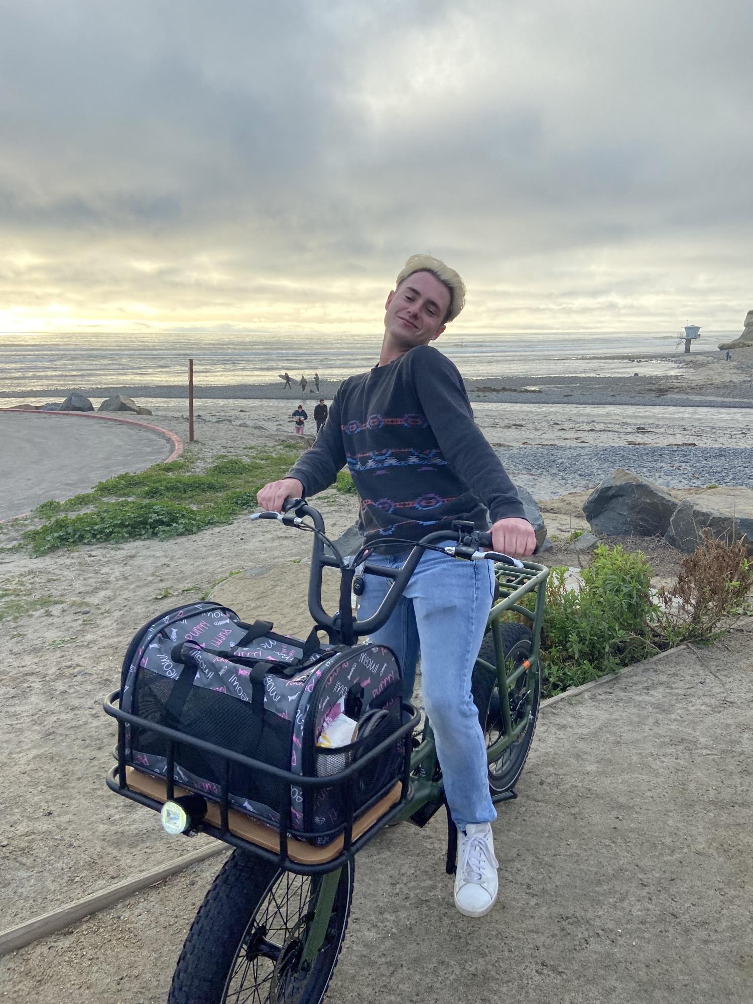 2022 Rad Power Bikes Rad Runner Green