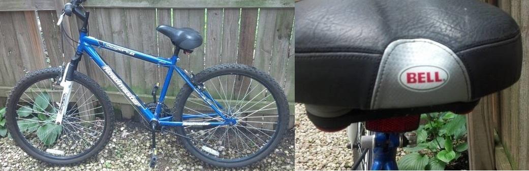 Roadmaster Mt Sports SX  Blue