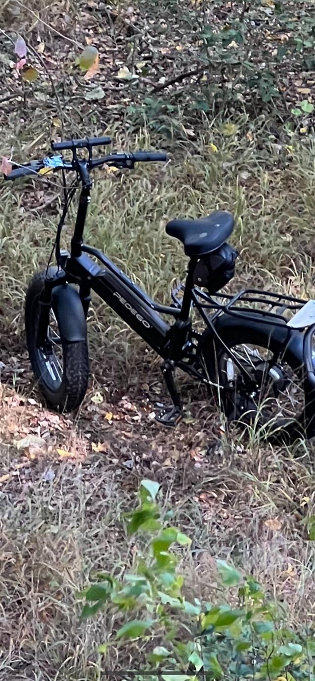 2021 Pedego Element Black