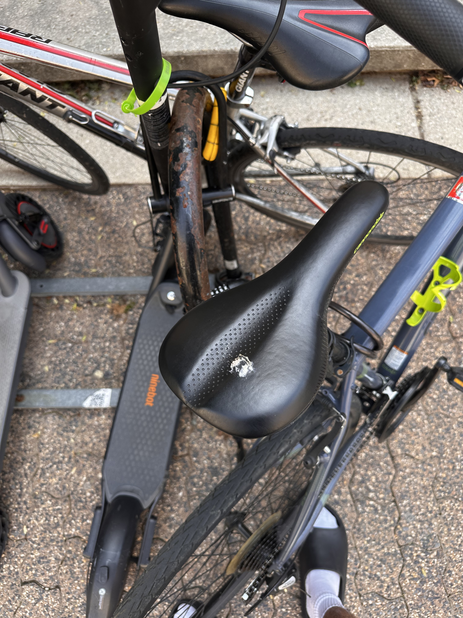 2017 Cannondale Quick Silver, gray or bare metal and Green