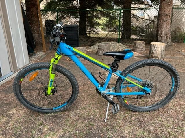 2019 Cube Acid 240 Teal and Green