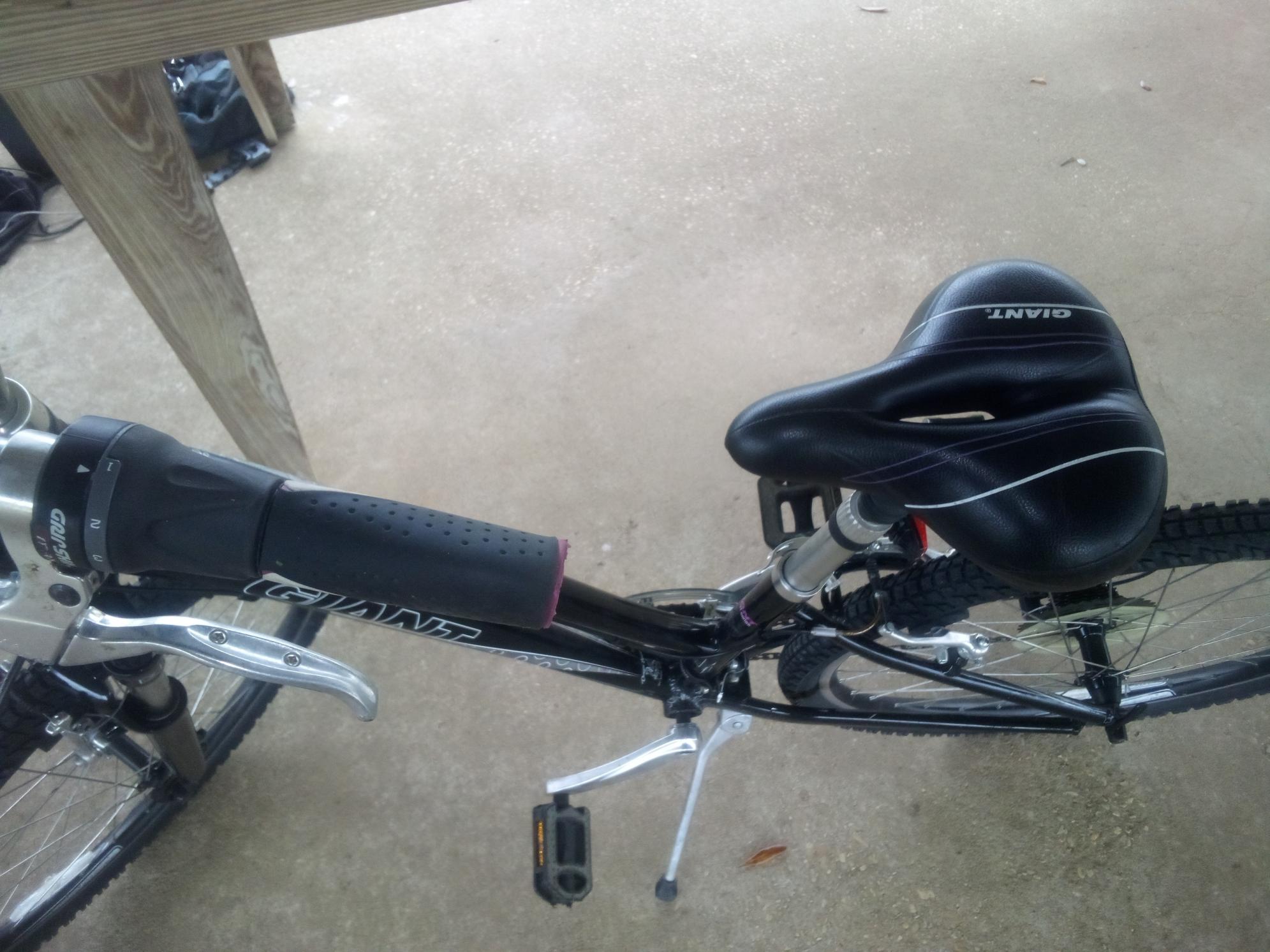 2020 Giant Sedona w Black and Purple