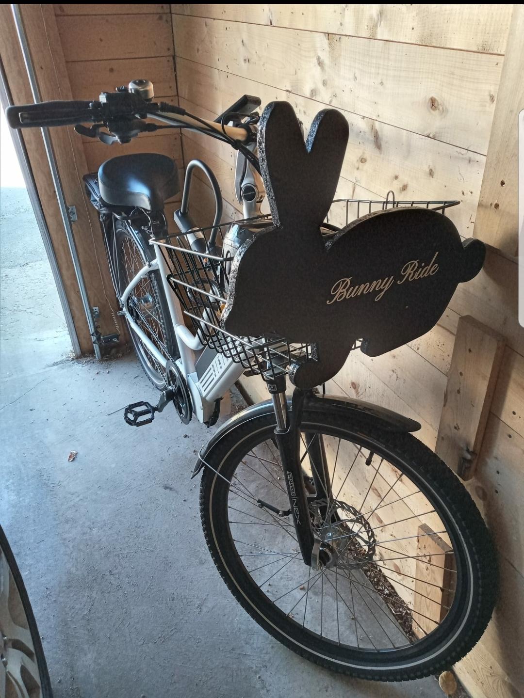 2021 Biktrix Stunner White