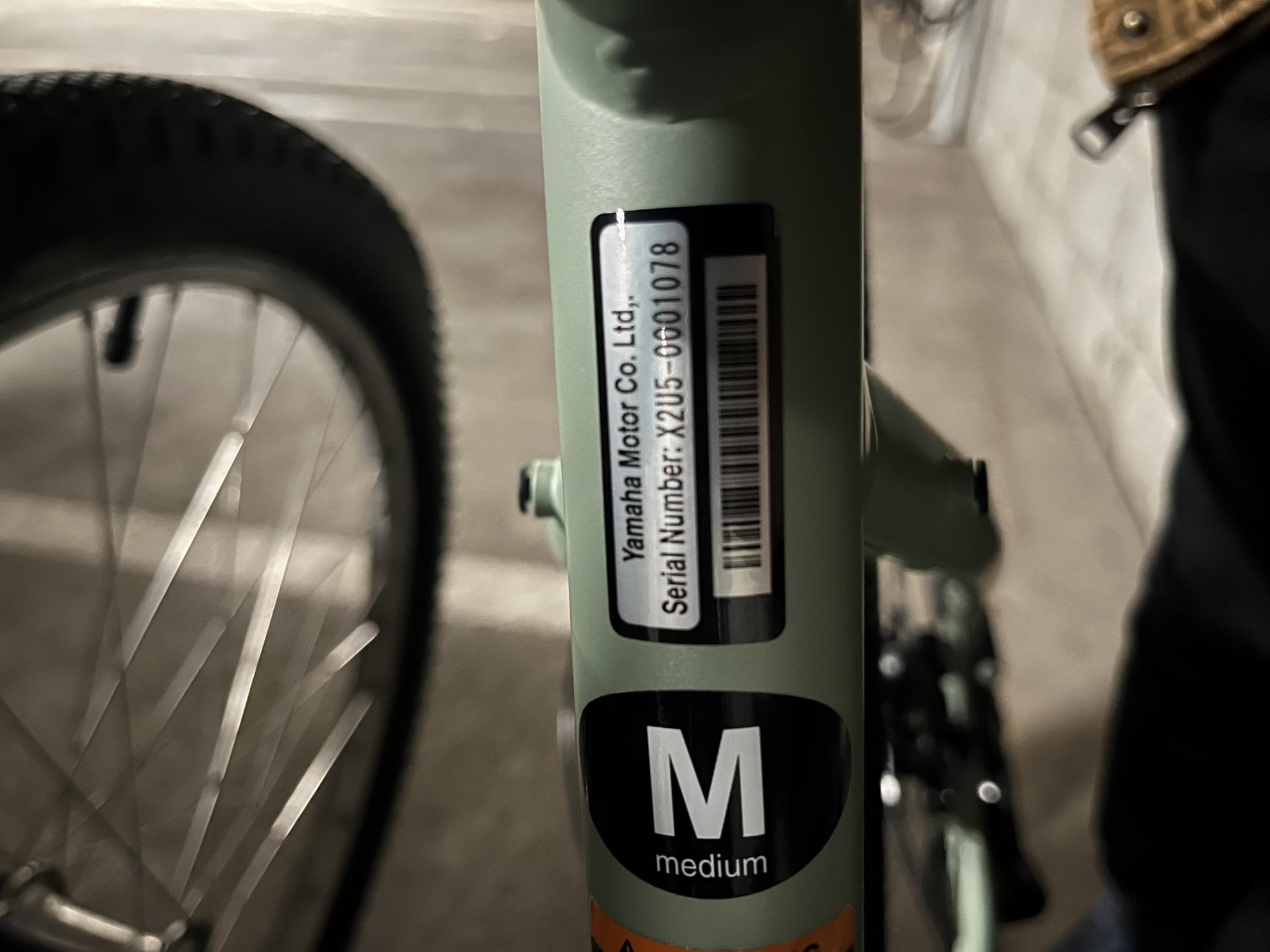 2022 Yamaha CCORRCMSAG Green