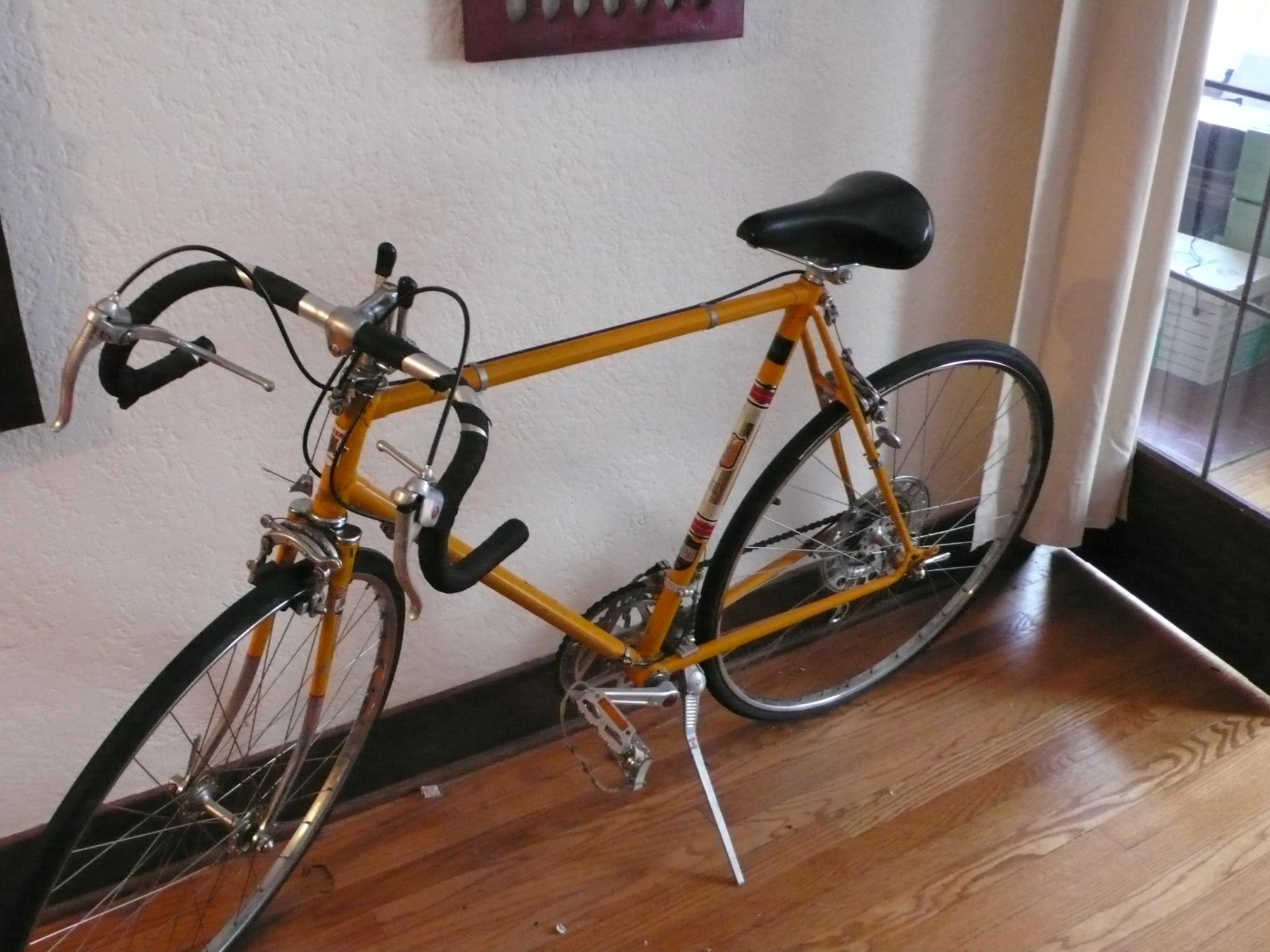 Tiger (Aurora Cycle badge as well) unknown marked with my Dad's license ... Yellow or Gold