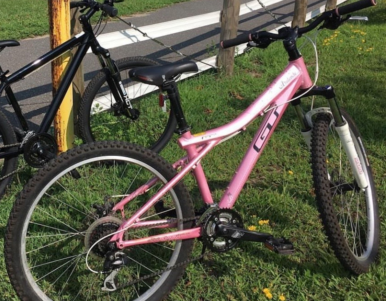 GT Bicycles Avalance Pink