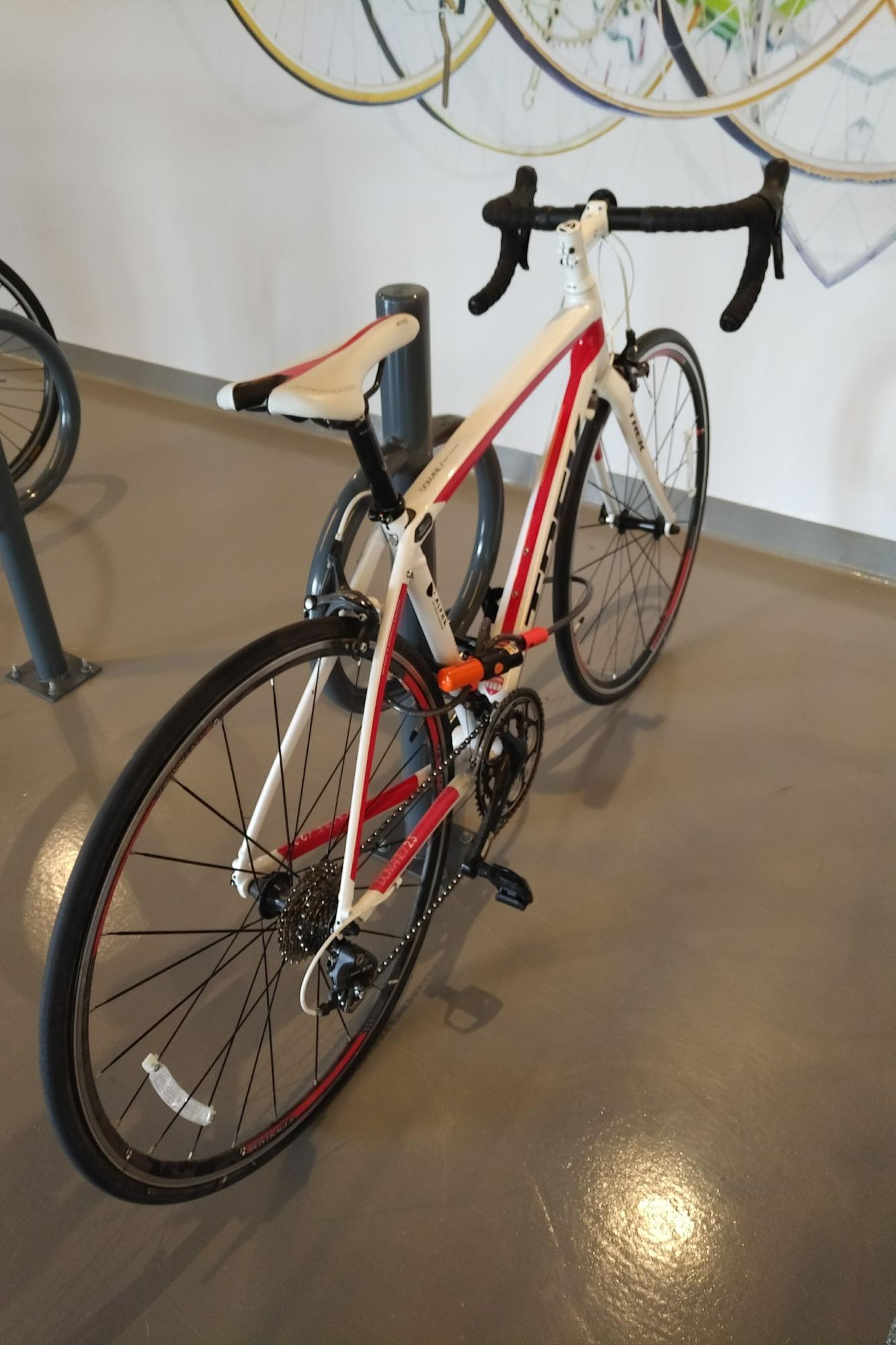 2013 Trek Domane 2.0 (Compact) White, Red, and Black