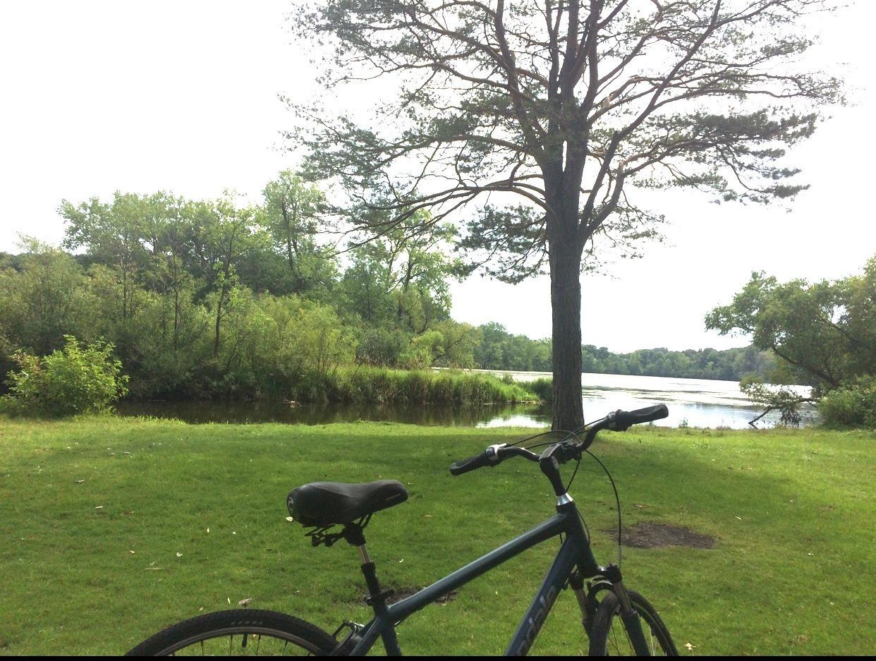 2015 Cannondale Teal and Silver, gray or bare metal