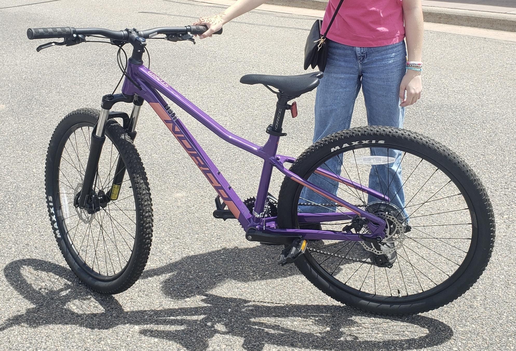 2024 Norco Bikes Storm 5 Purple