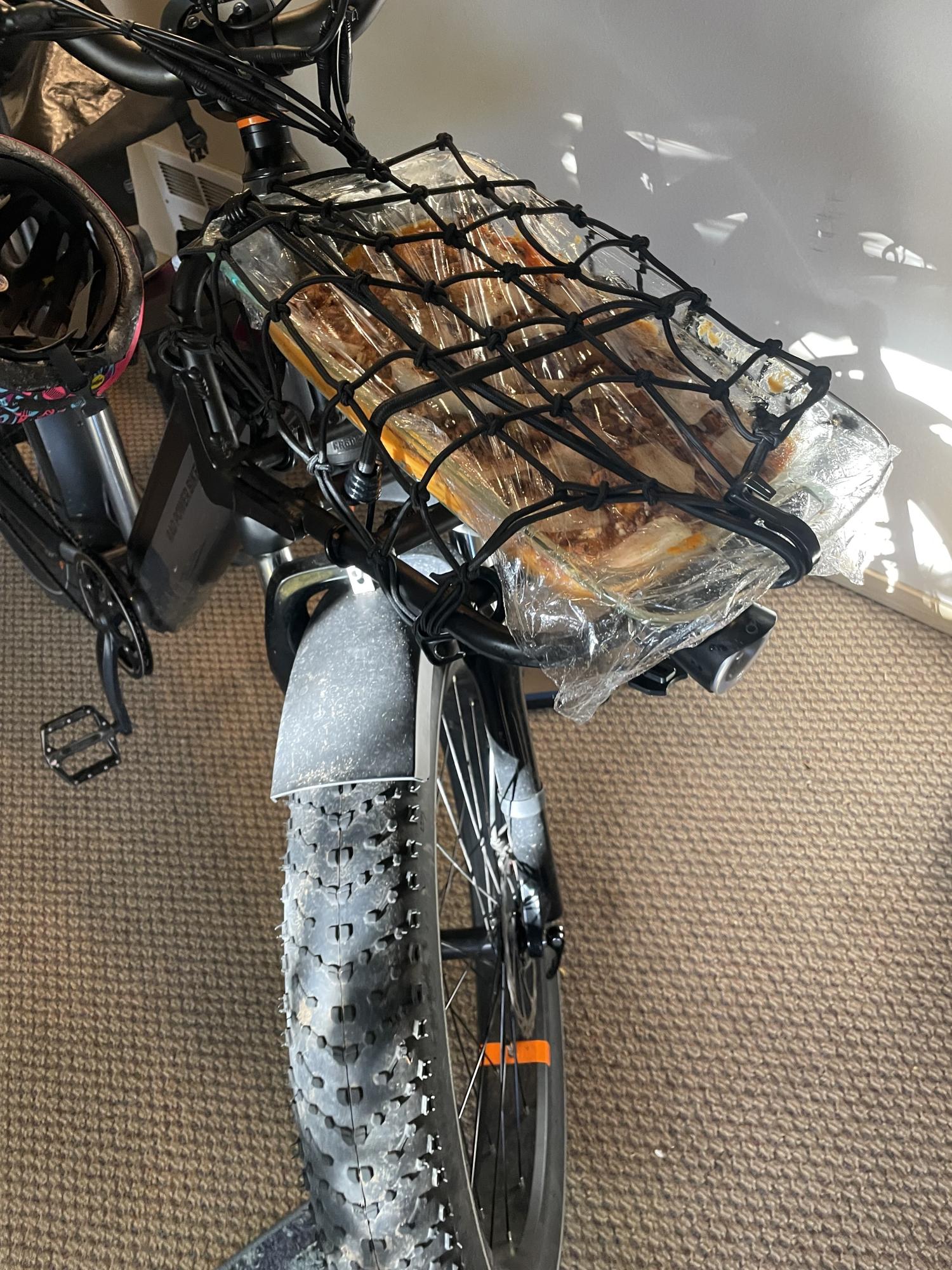 2023 Rad Power Bikes Silver, gray or bare metal