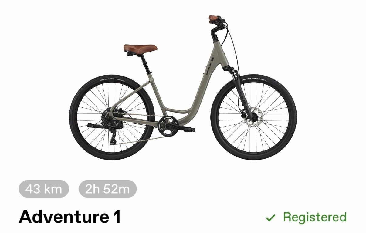 2024 Cannondale Adventure 1 Silver, gray or bare metal